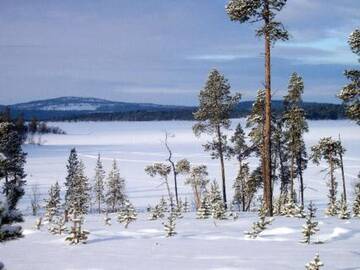 Фото номера Дом для отпуска Дома для отпуска Holiday Home Inarinlahti г. Инари 27